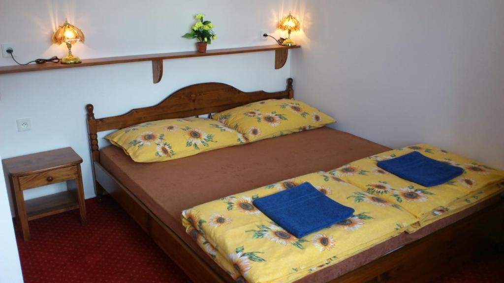 Appartamento Pension-apartmany Apollo *