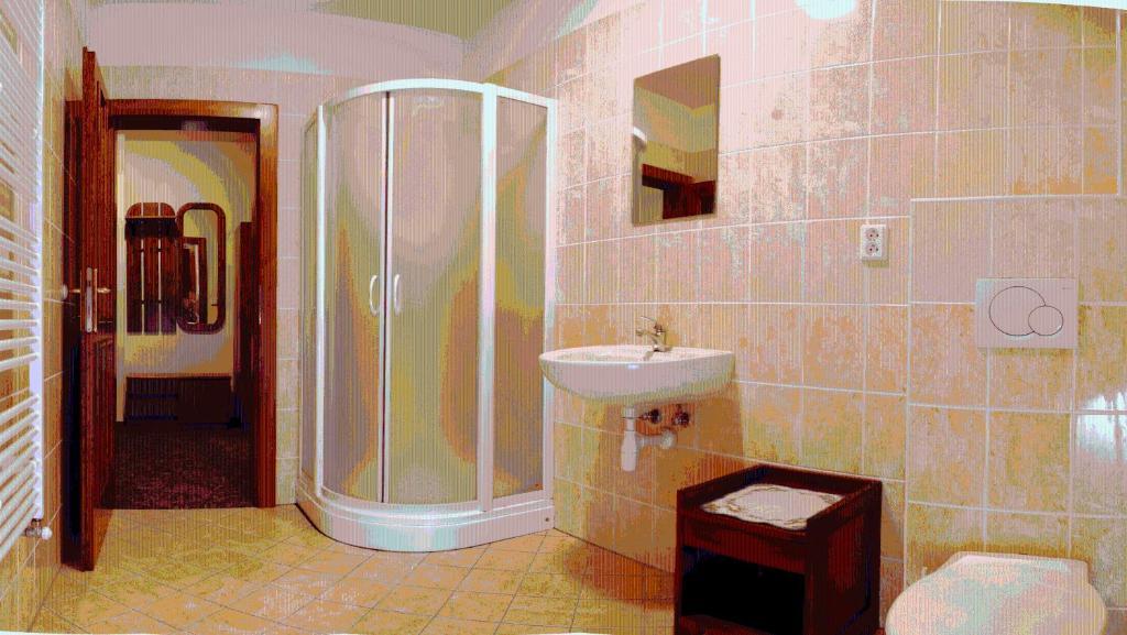 Appartamento Pension-apartmany Apollo